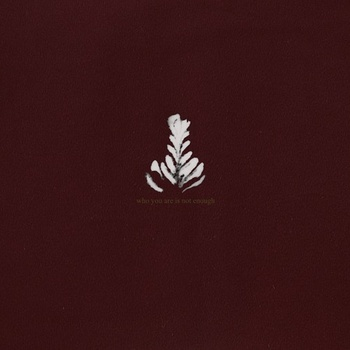 Album Preview: Who You Are Is Not Enough