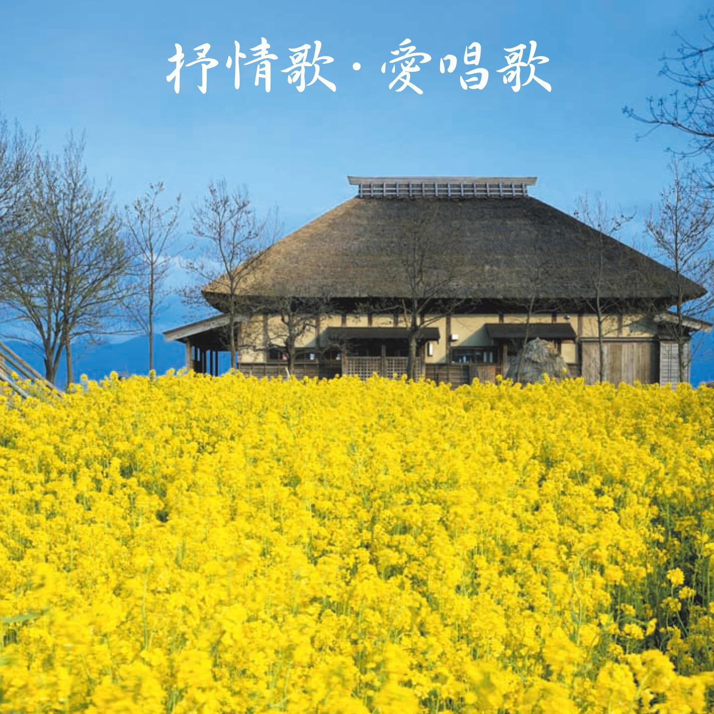 赤い花白い花(カバー)