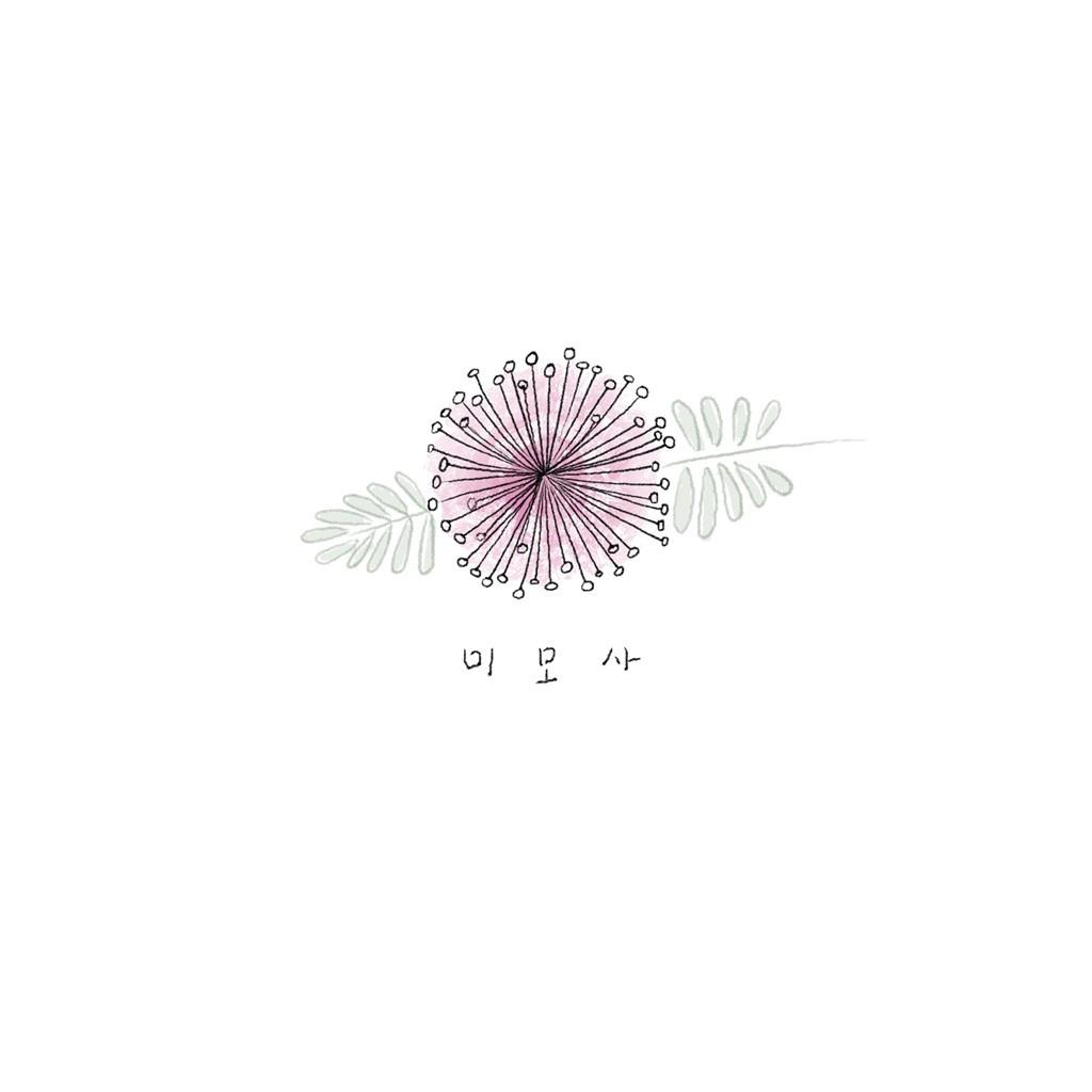 미모사