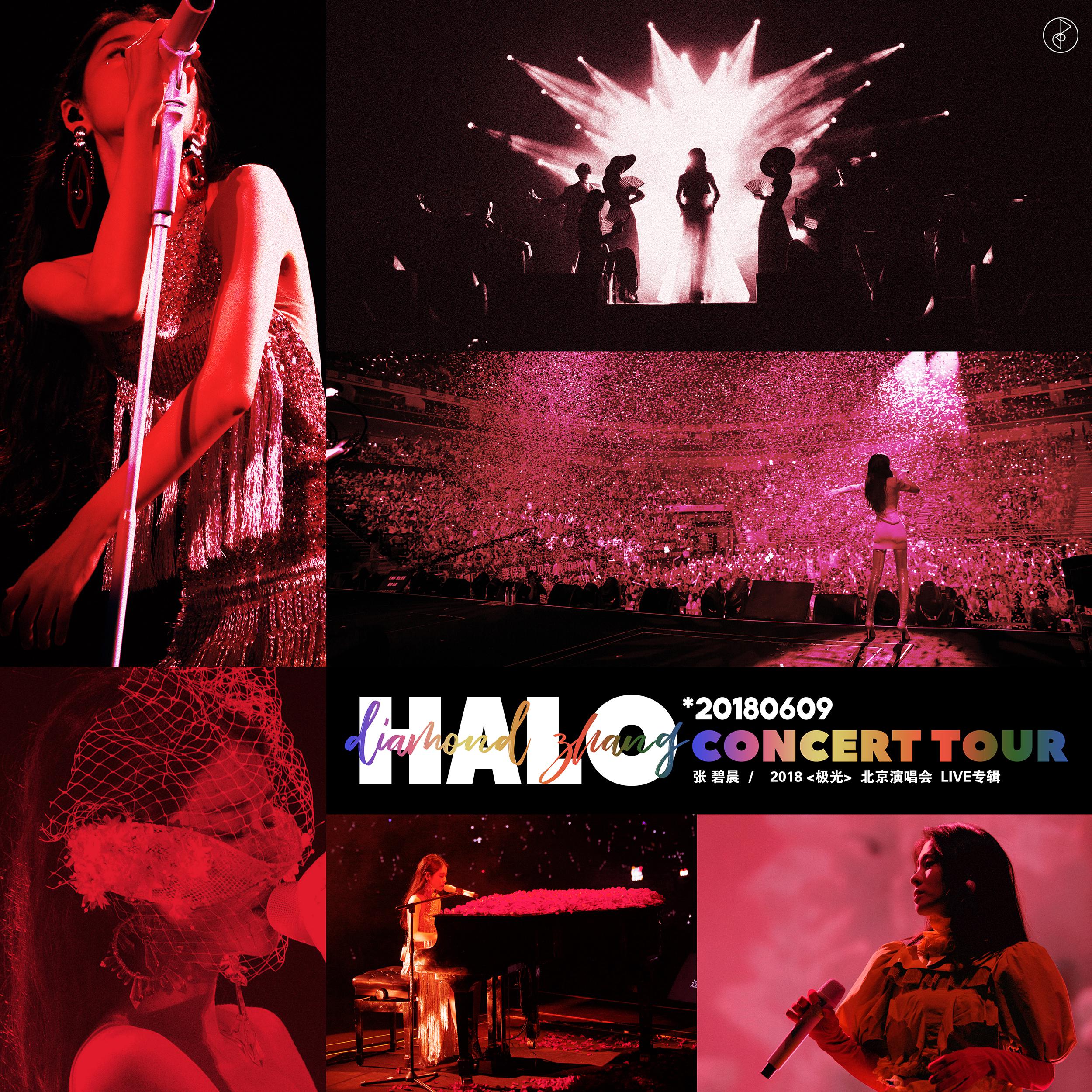 樱花纷飞时 (Live)