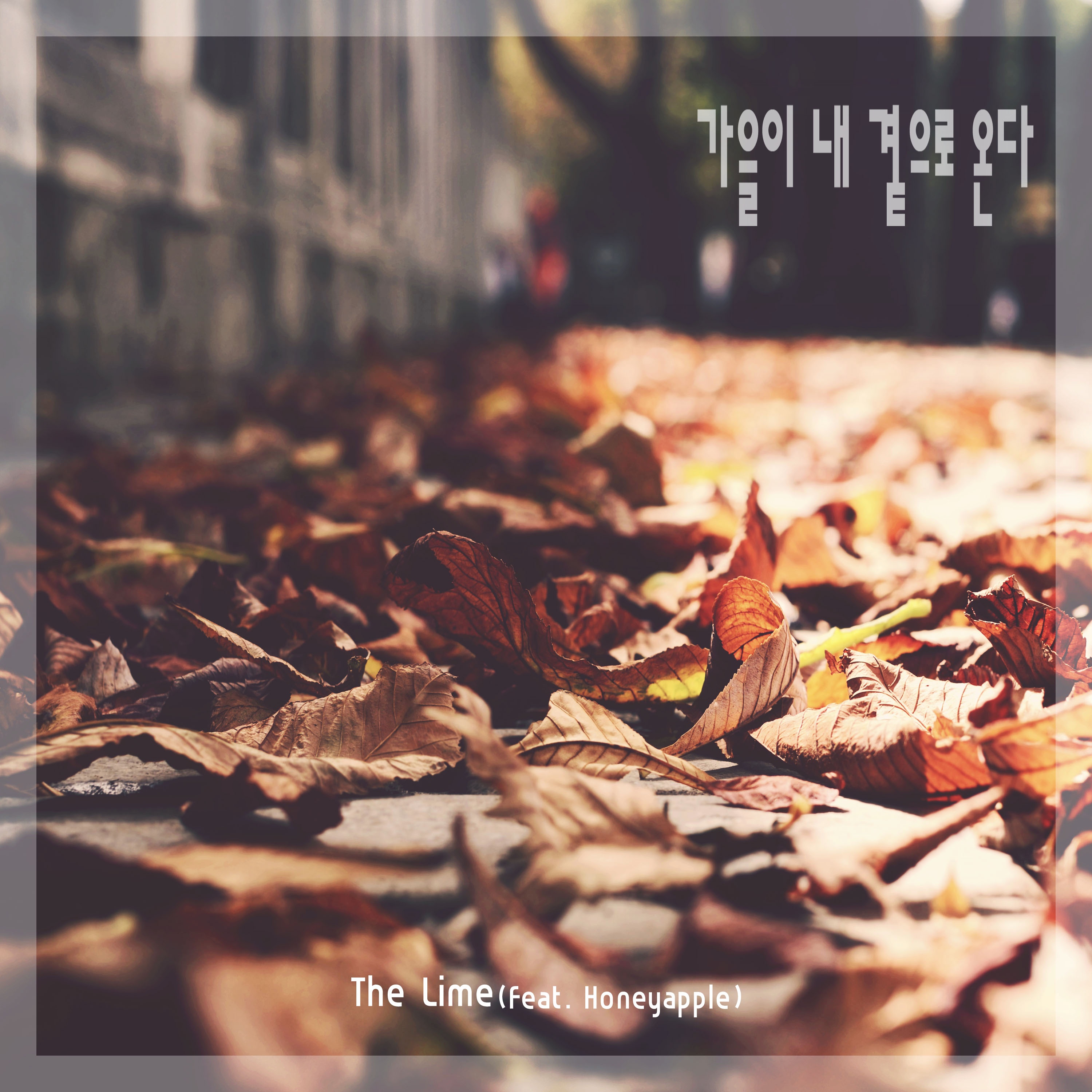 가을이 내 곁으로 온다 