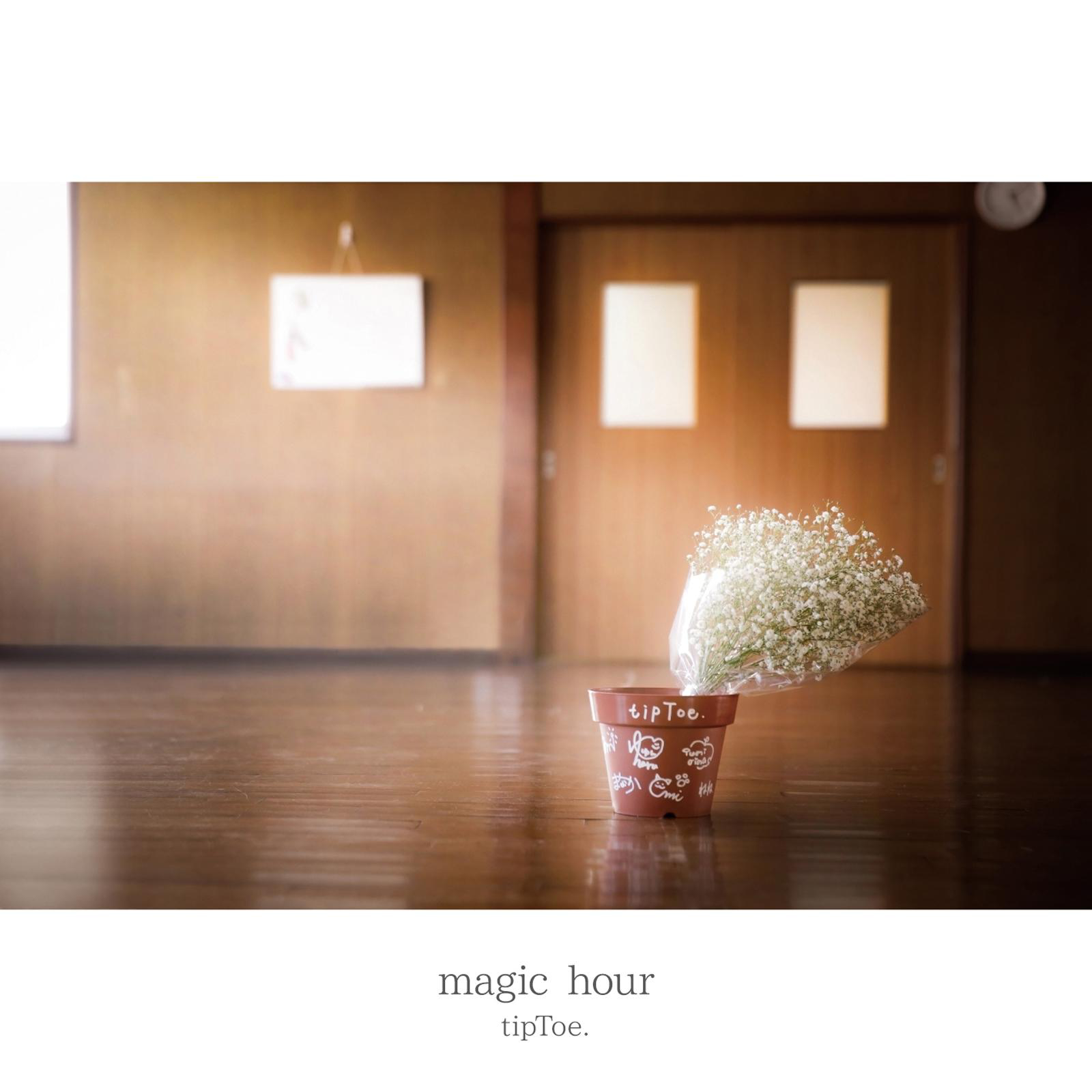 かすみ草の花束を 歌曲翻译