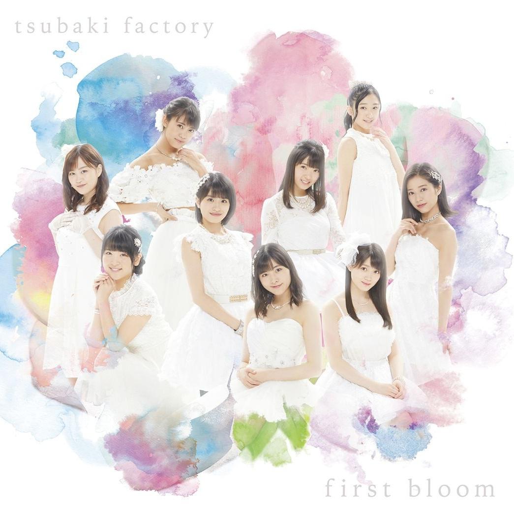 可能性のコンチェルト