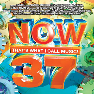 Love The Way You Lie  (Album Version) (Editied)
