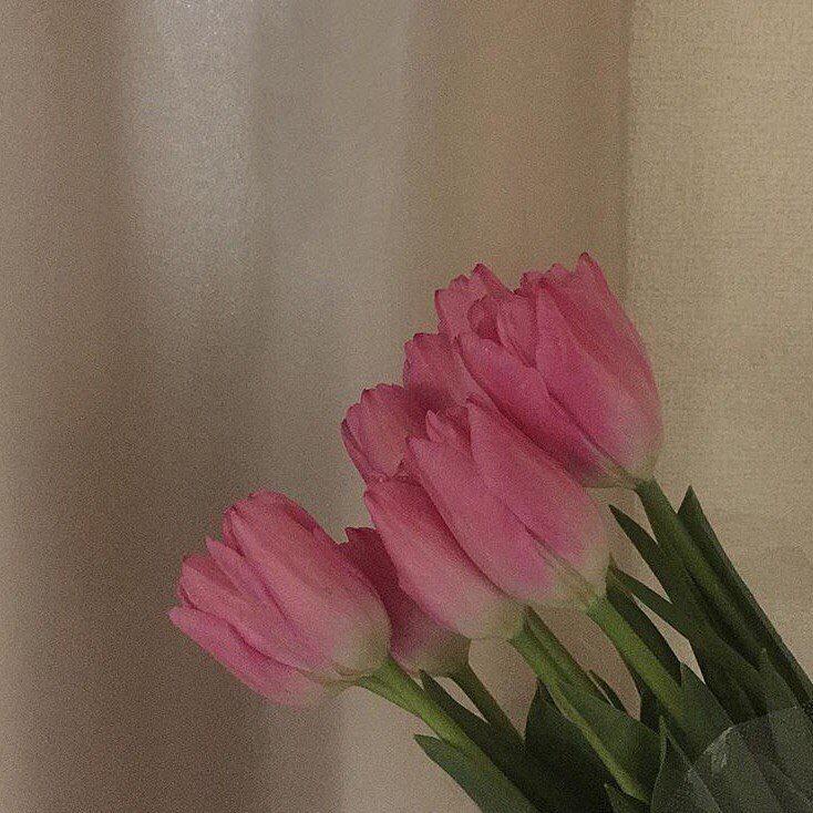 r u killing me 金美玲 妤桢