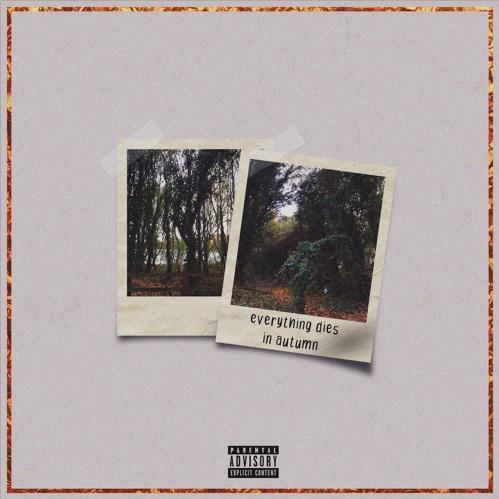 maybe you were the ocean