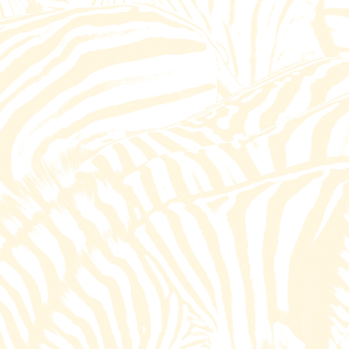 Used To Be