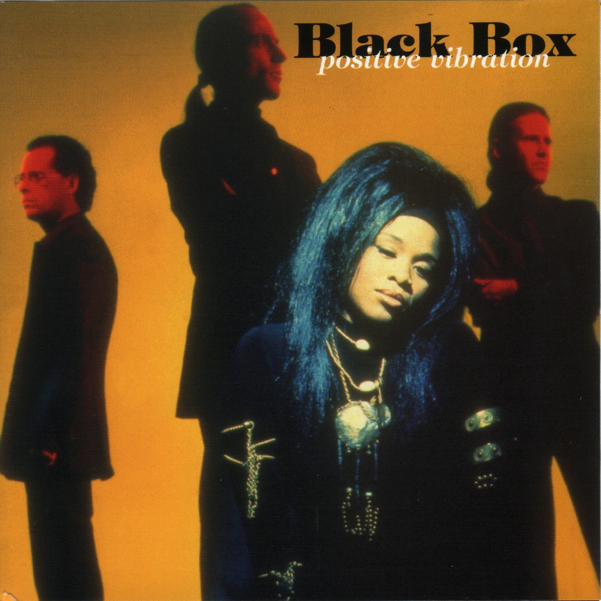 I've Got The Vibration(radio edit) - radio edit