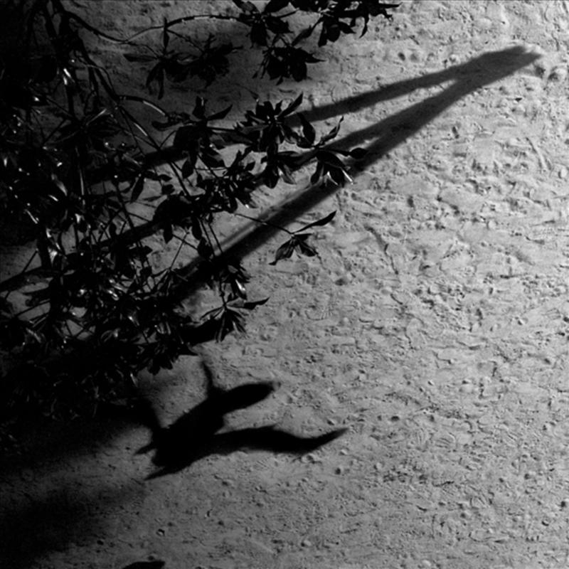 Shadow Journal