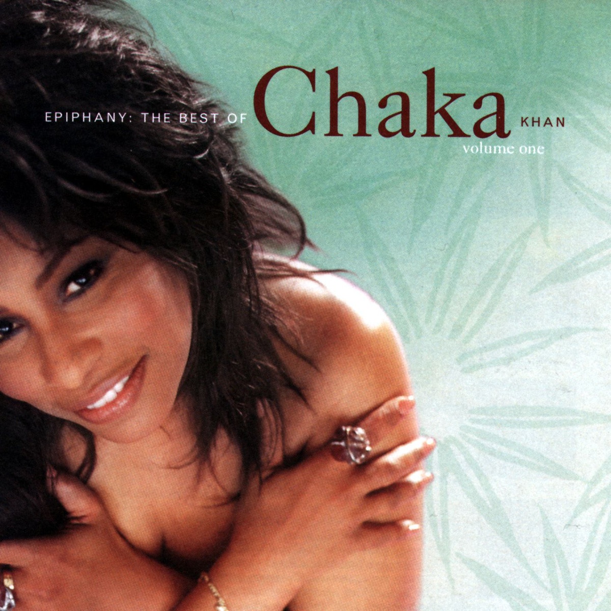 Through The Fire (Album Version)