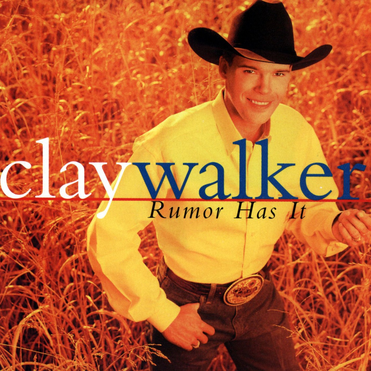 Country Boy And City Girl (Album Version)