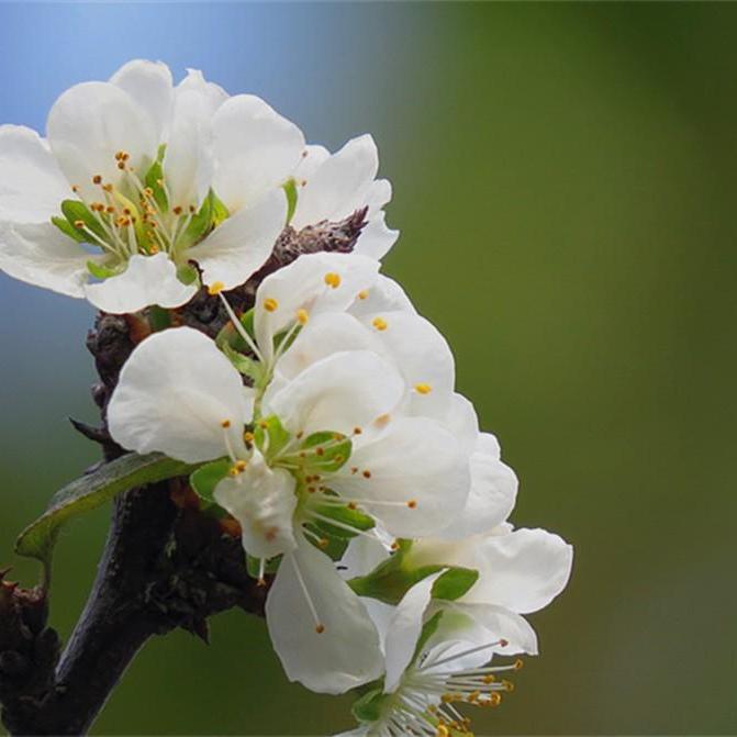 你笑起来真好看