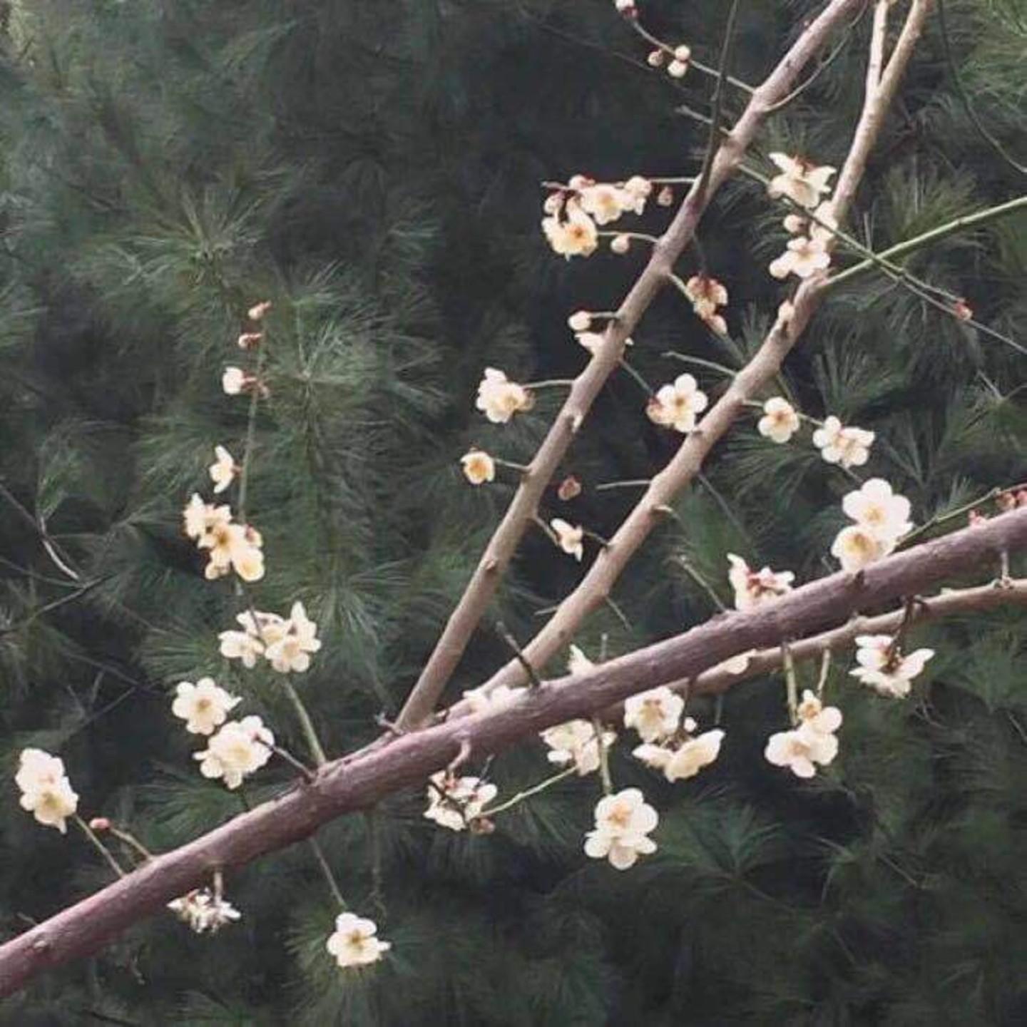 ☾