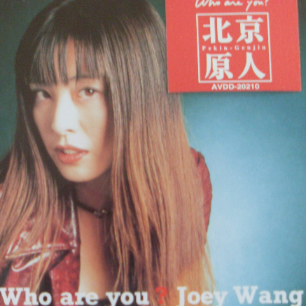 Who are you?(伴奏) - 伴奏