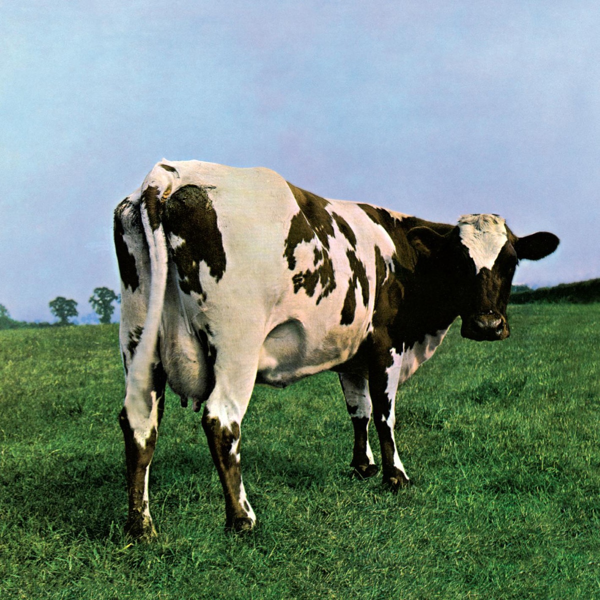 Fat Old Sun (2011 - Remaster)
