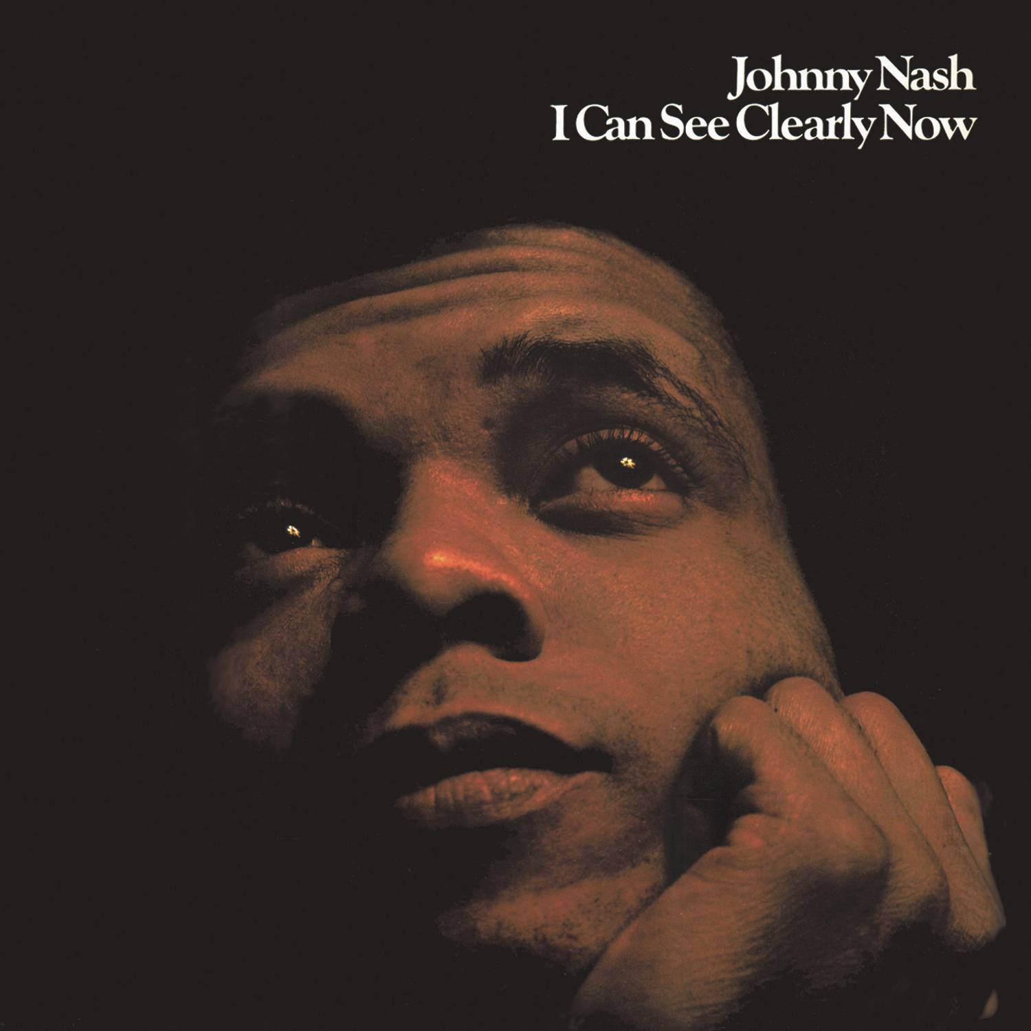 I Can See Clearly Now - Single Version