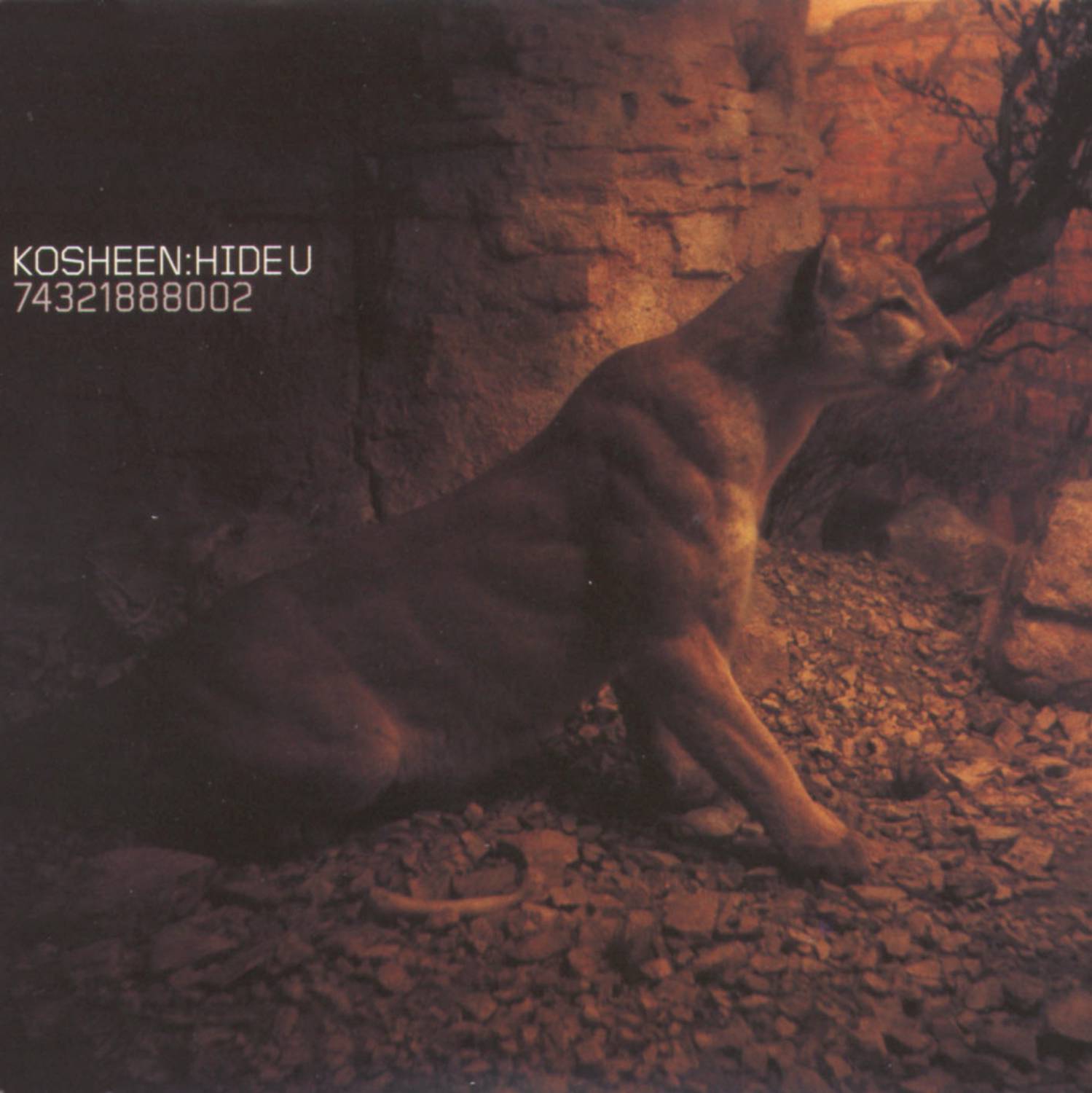 The Sweetest Gift (Live) - Live