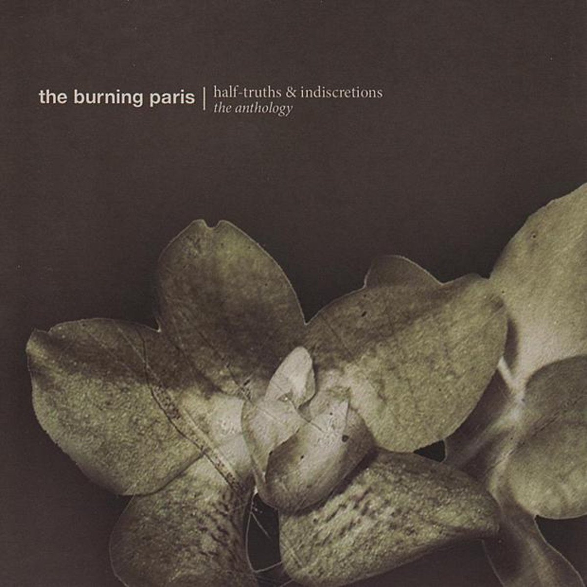 Building My Own Coffin