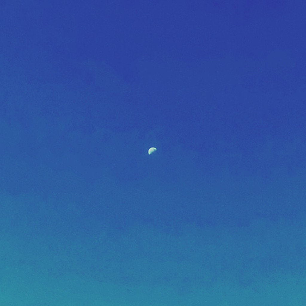 지샌달