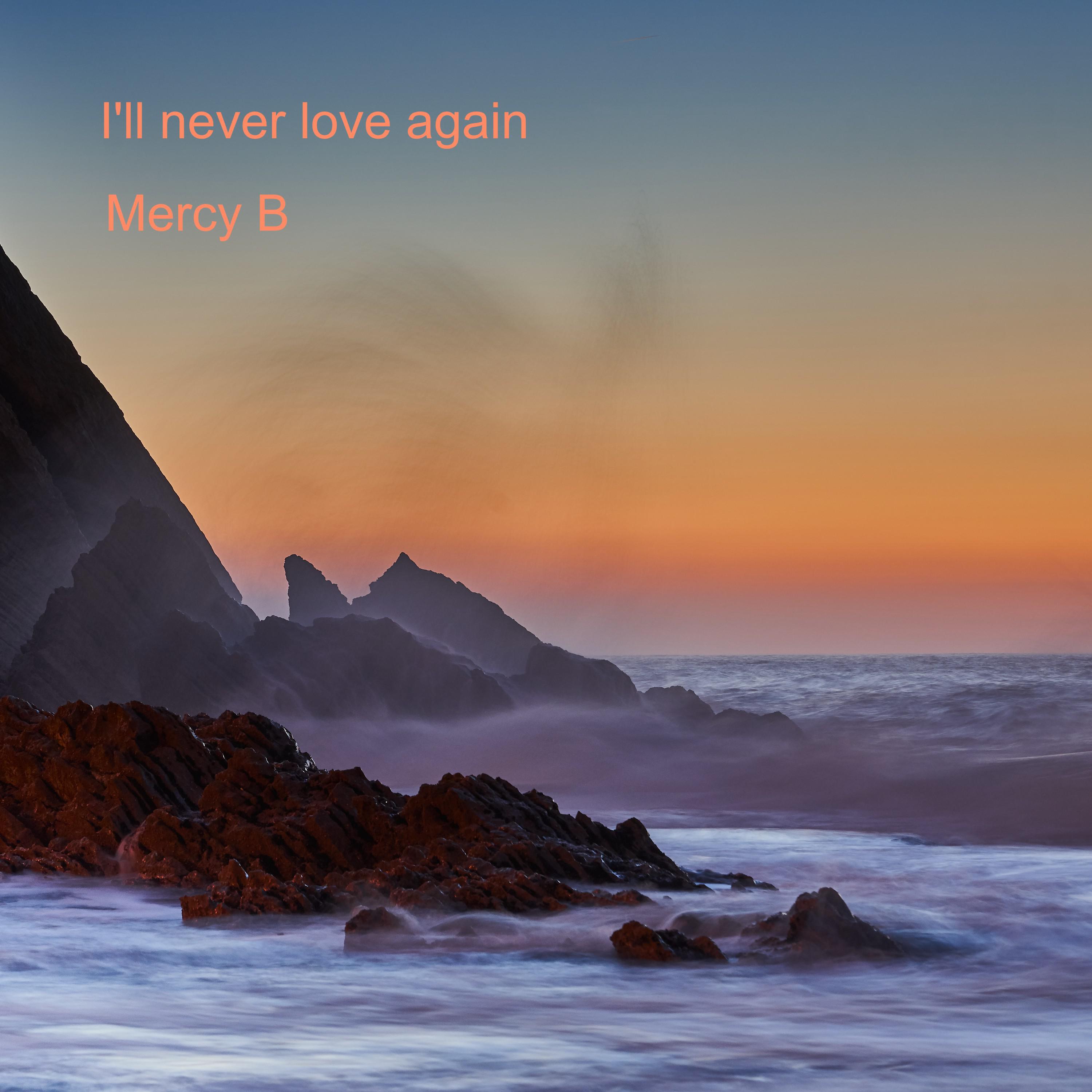 I'll Never Love Again