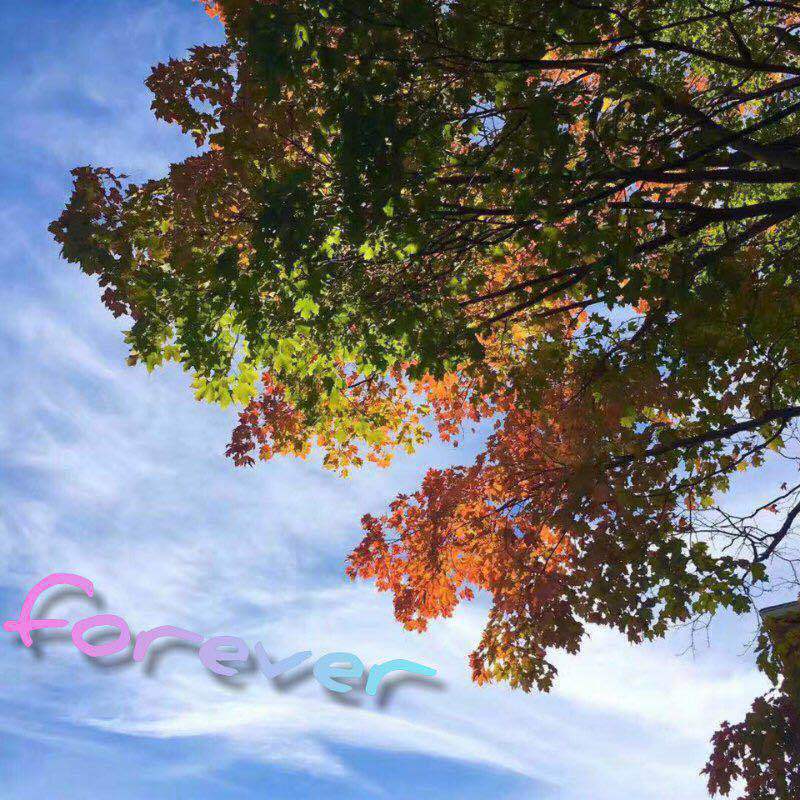 FOREVER VER2