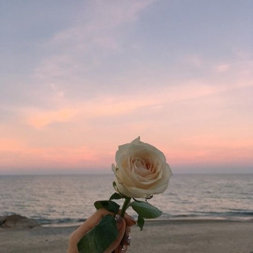 you're so beautiful