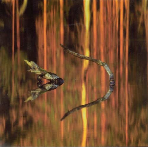 Kun Mun Kultani Tulisi (Missing Him)