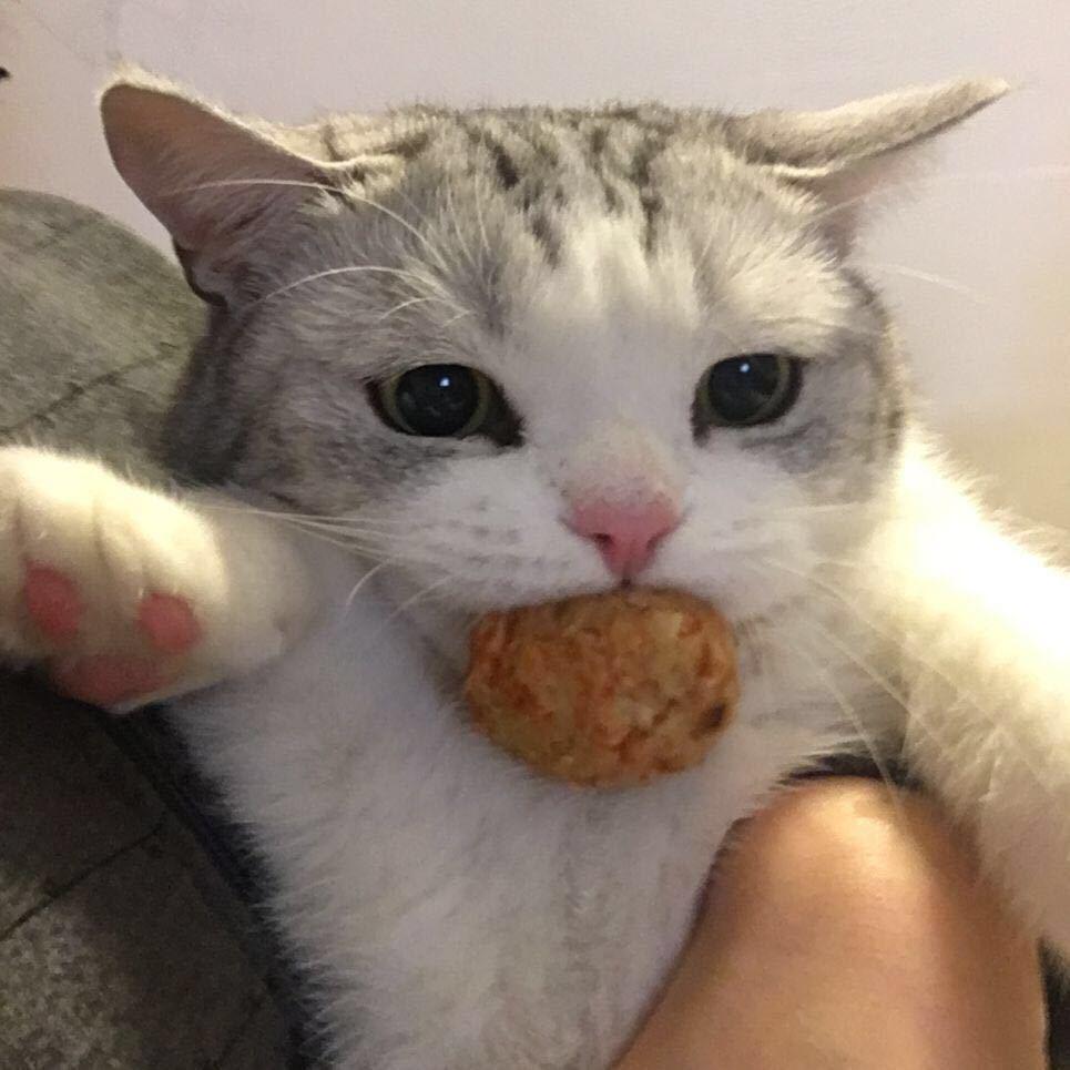 リモコン