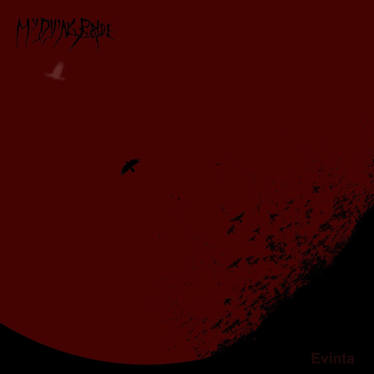 You Are Not the One Who Loves Me