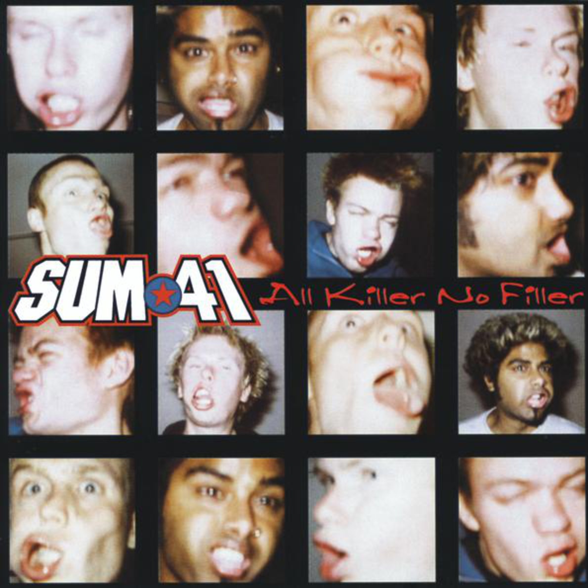 Fat Lip - Album Version (Explicit)