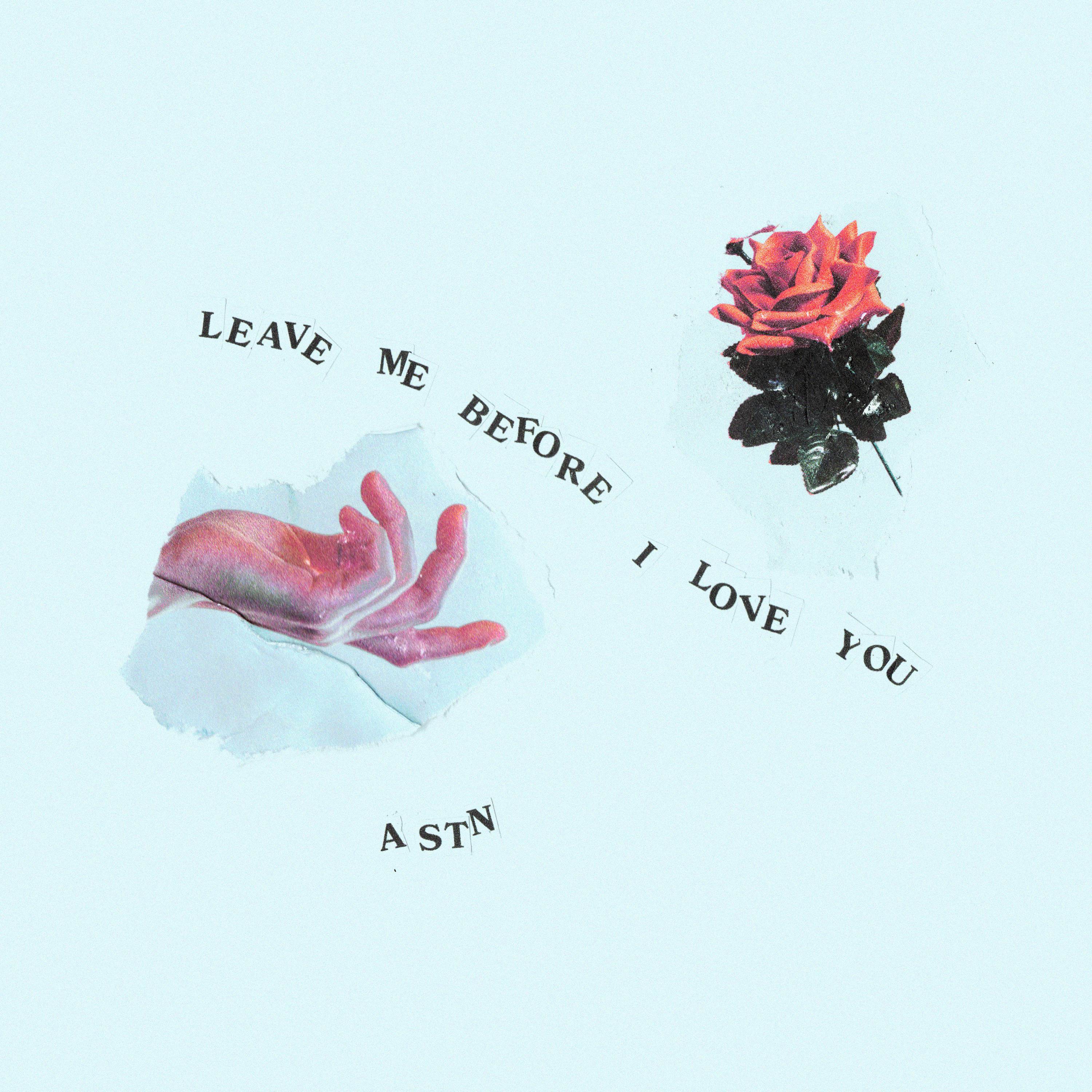 Leave Me Before I Love You