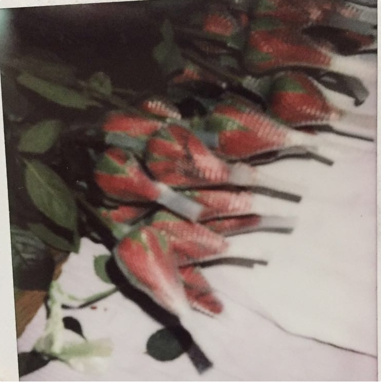 Flowers 3
