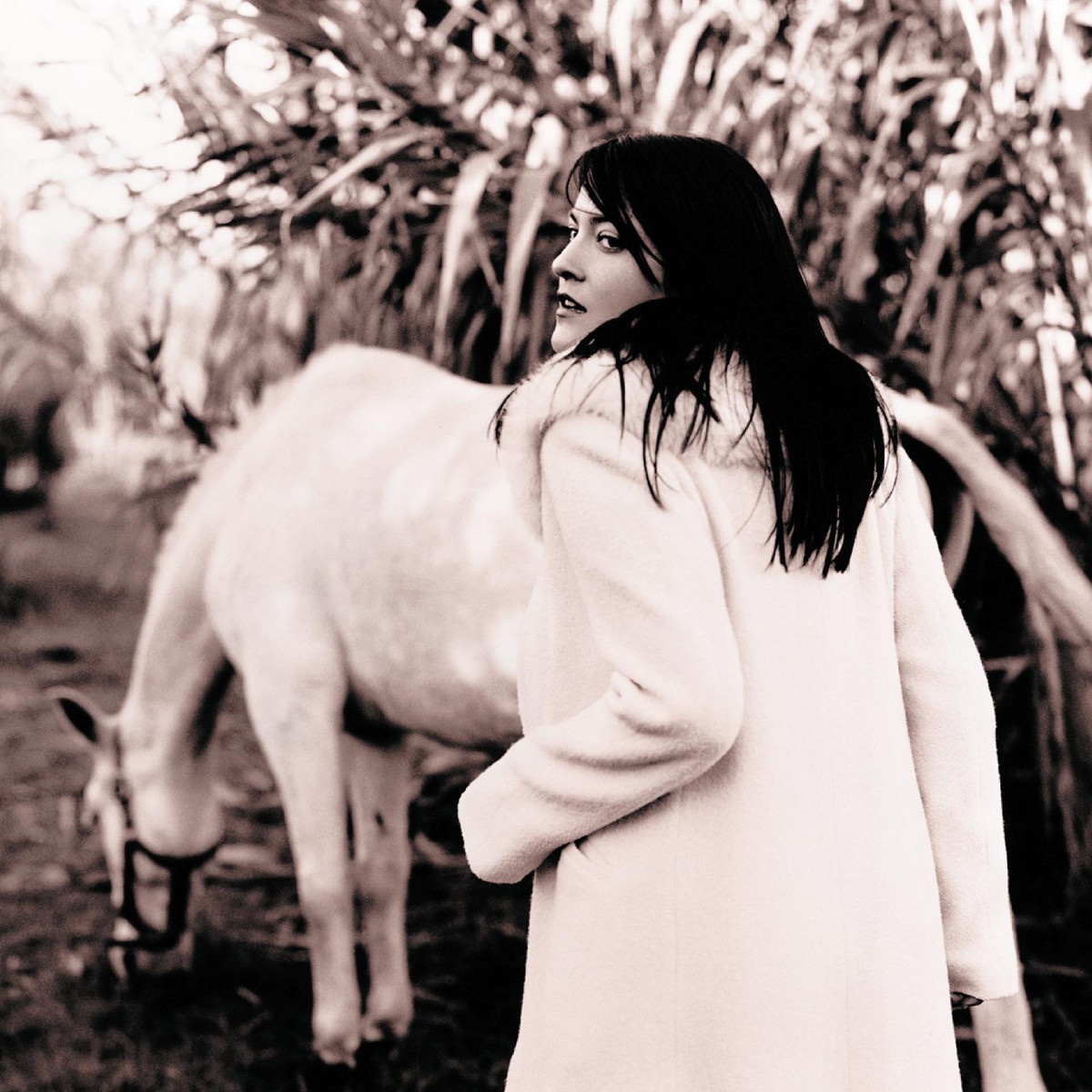 Les Rivières De Janvier