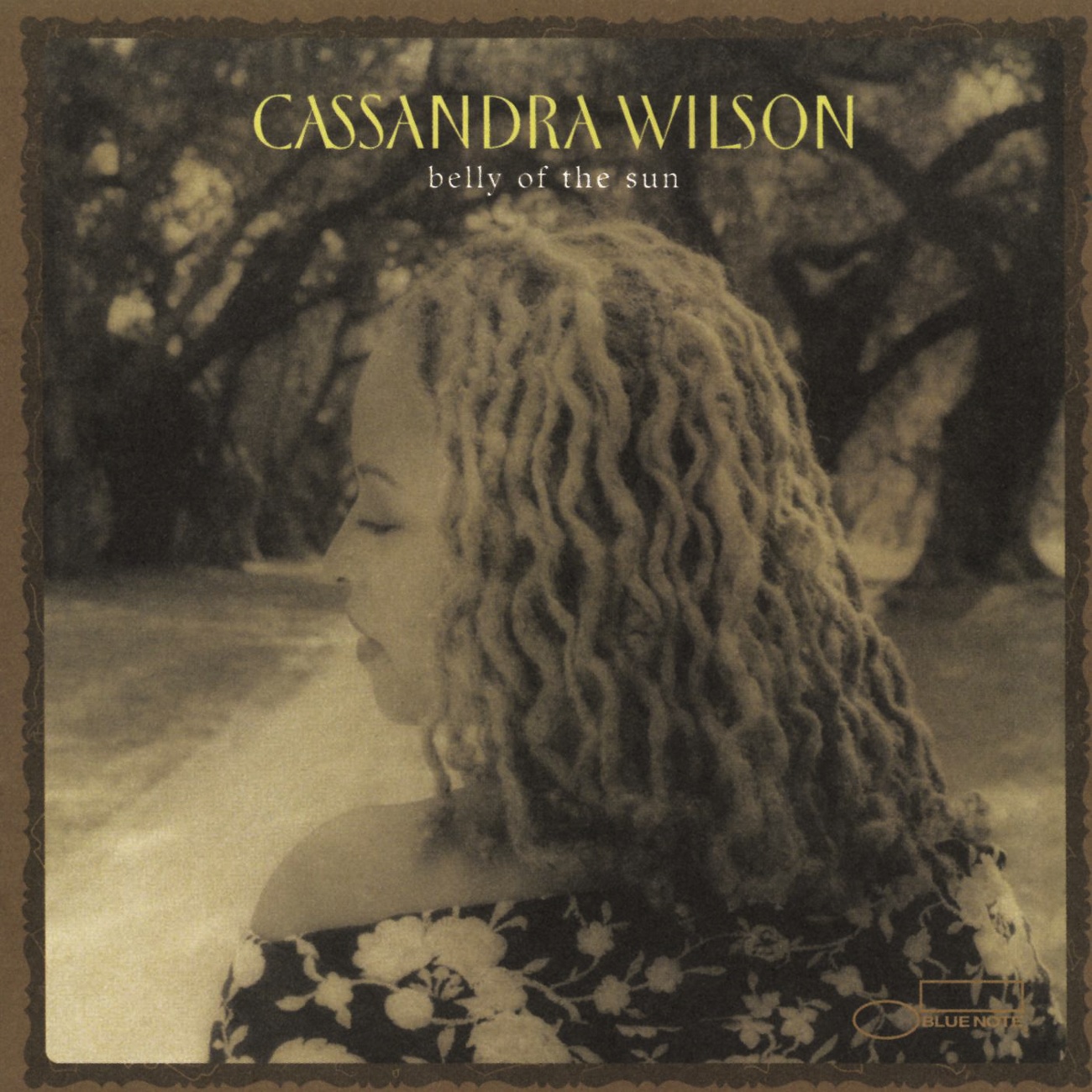 Shelter From The Storm