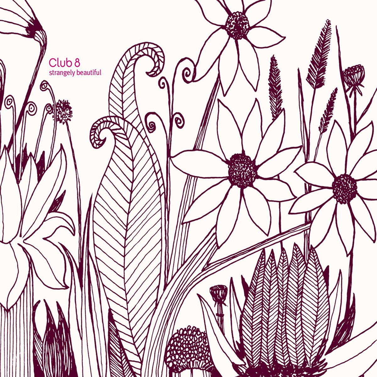 The Beauty Of The Way We're Living