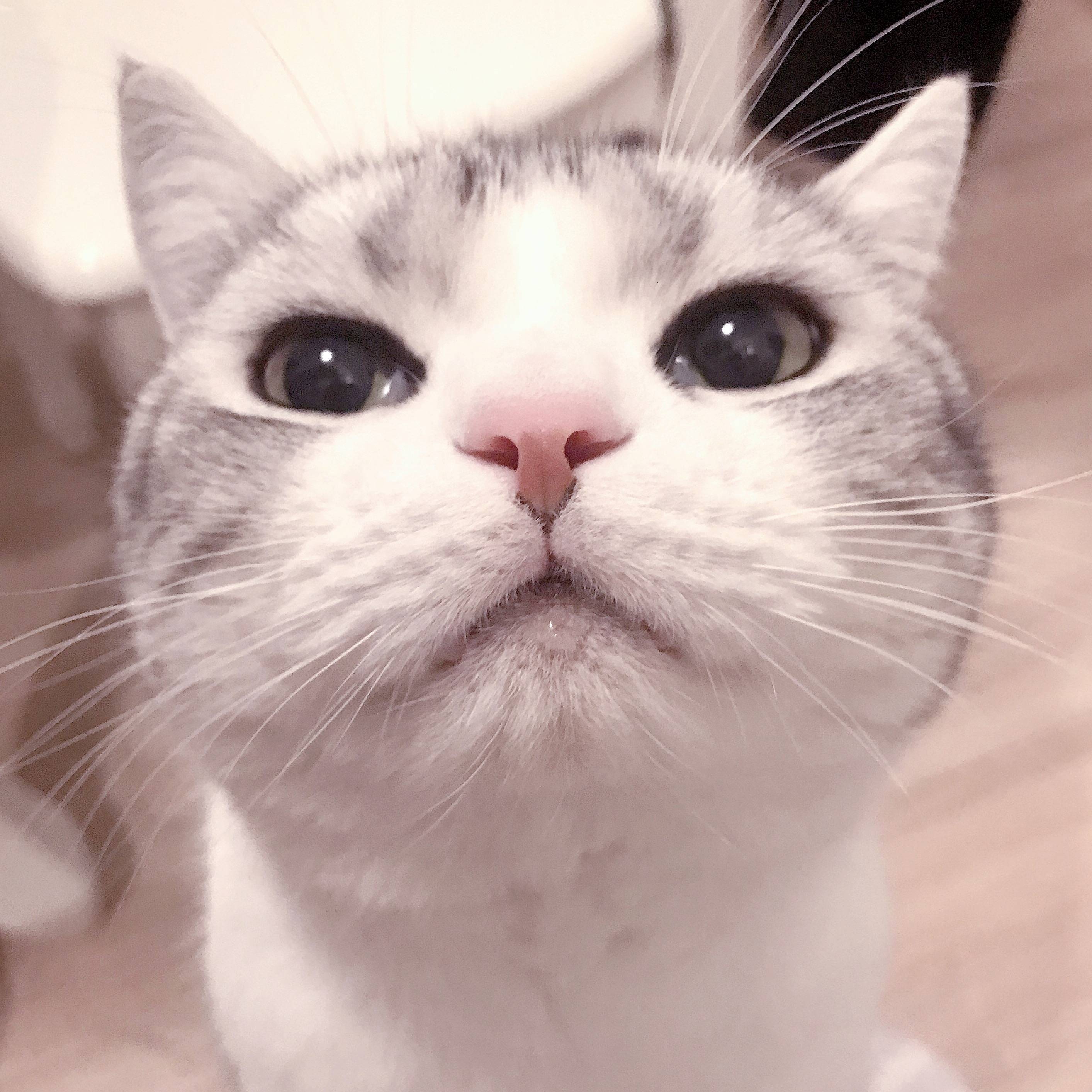 いのちの名前