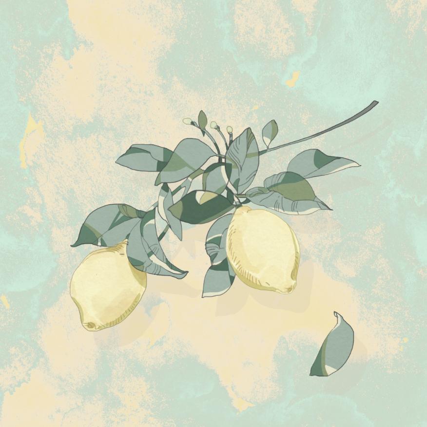 Lemon Tree