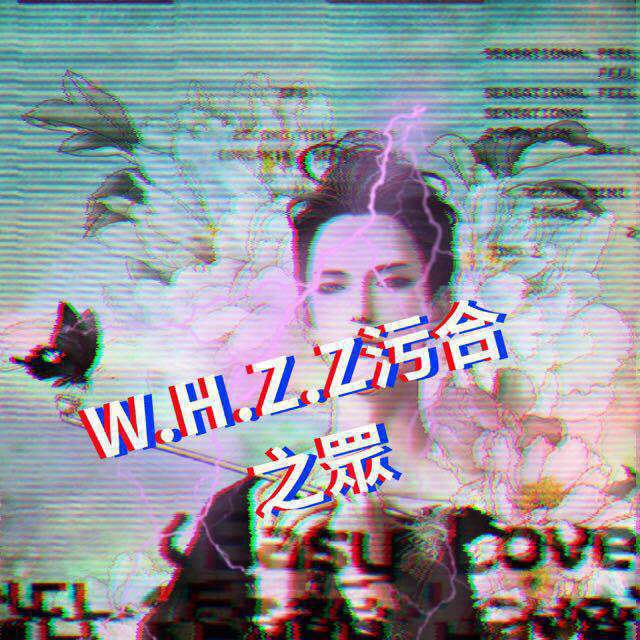 W.H.Z.Z 污合之众