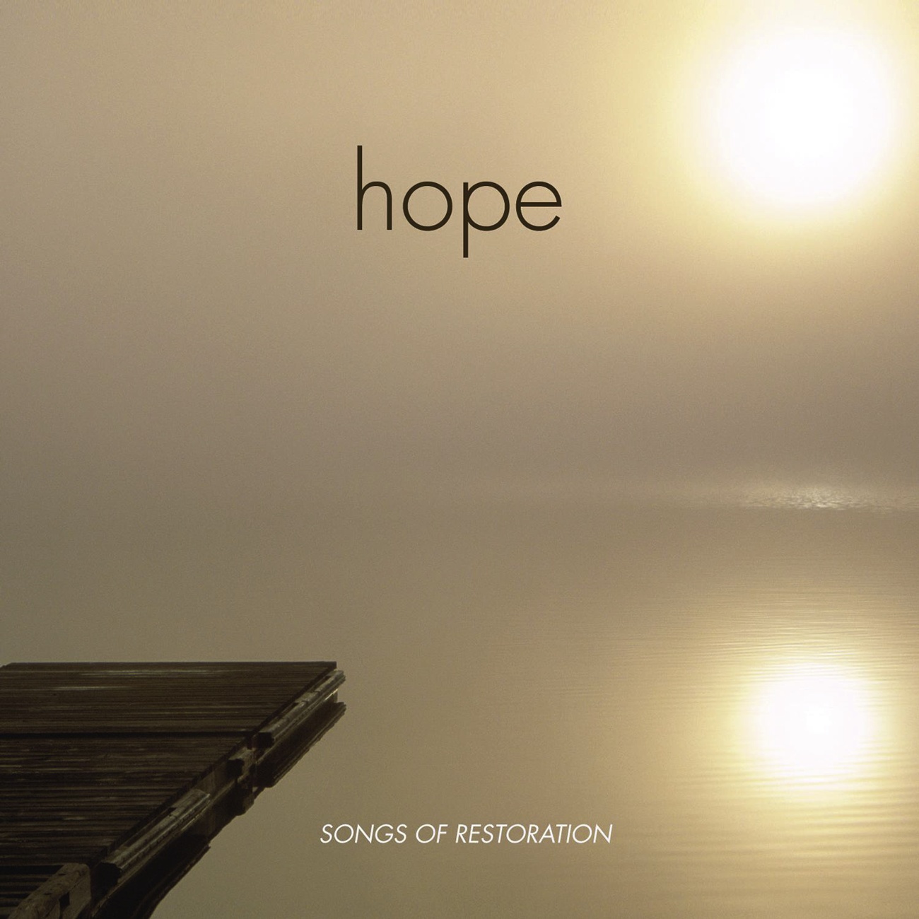 Bridge Over Troubled Water (Hope Album Version)