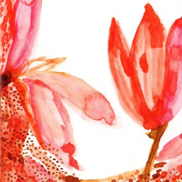 ばらの花