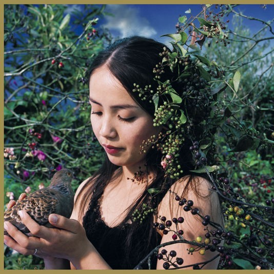 死んだ女の子 Bonus Track 歌曲翻译