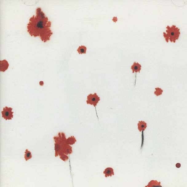 바람, 어디에서 부는지