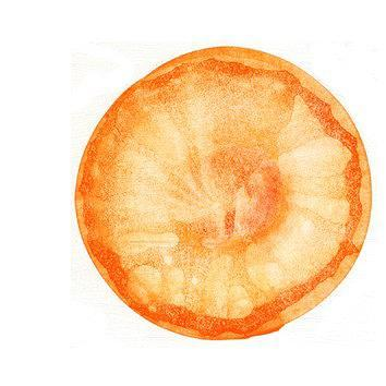 WALKING IN THE RHYTHM