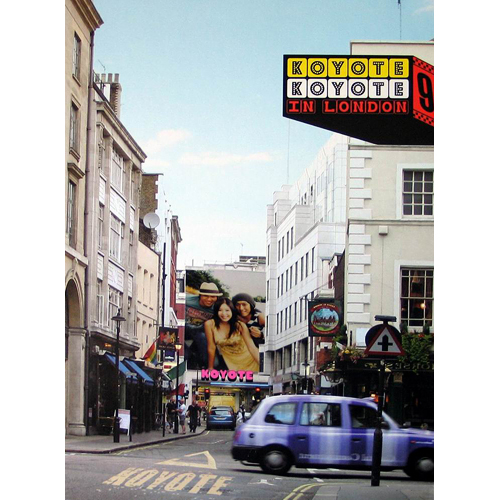 사랑할 수 없어