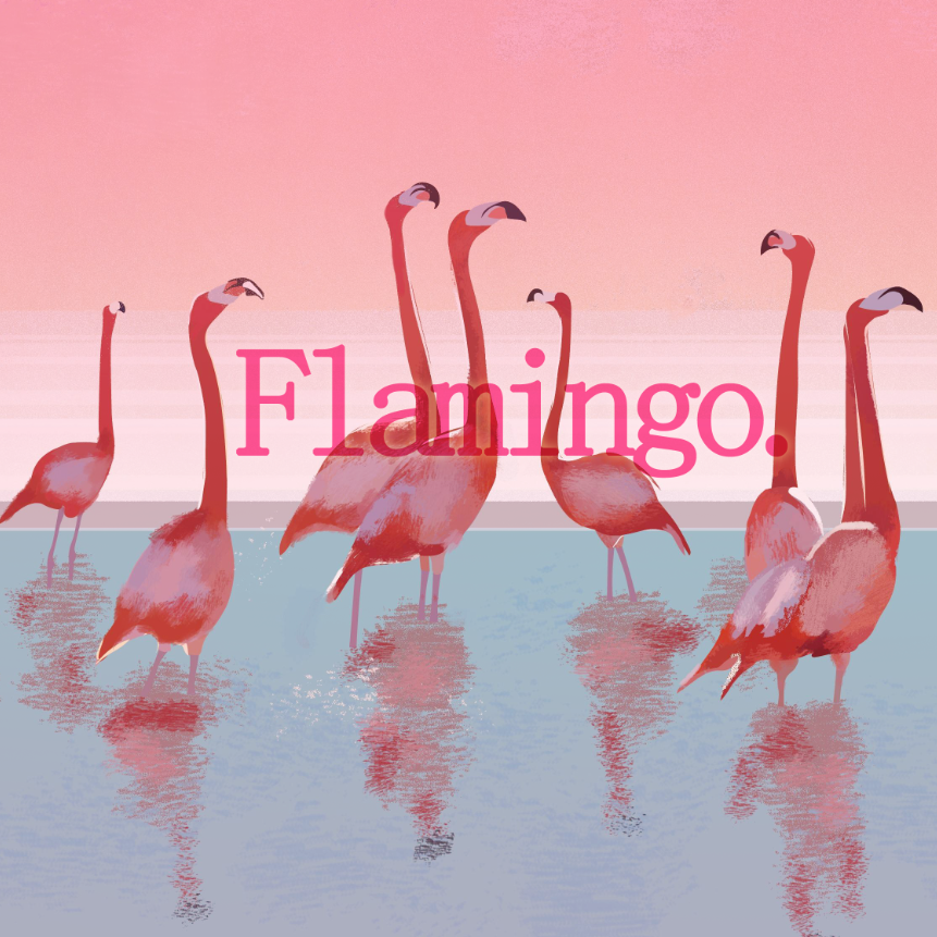 flamingo