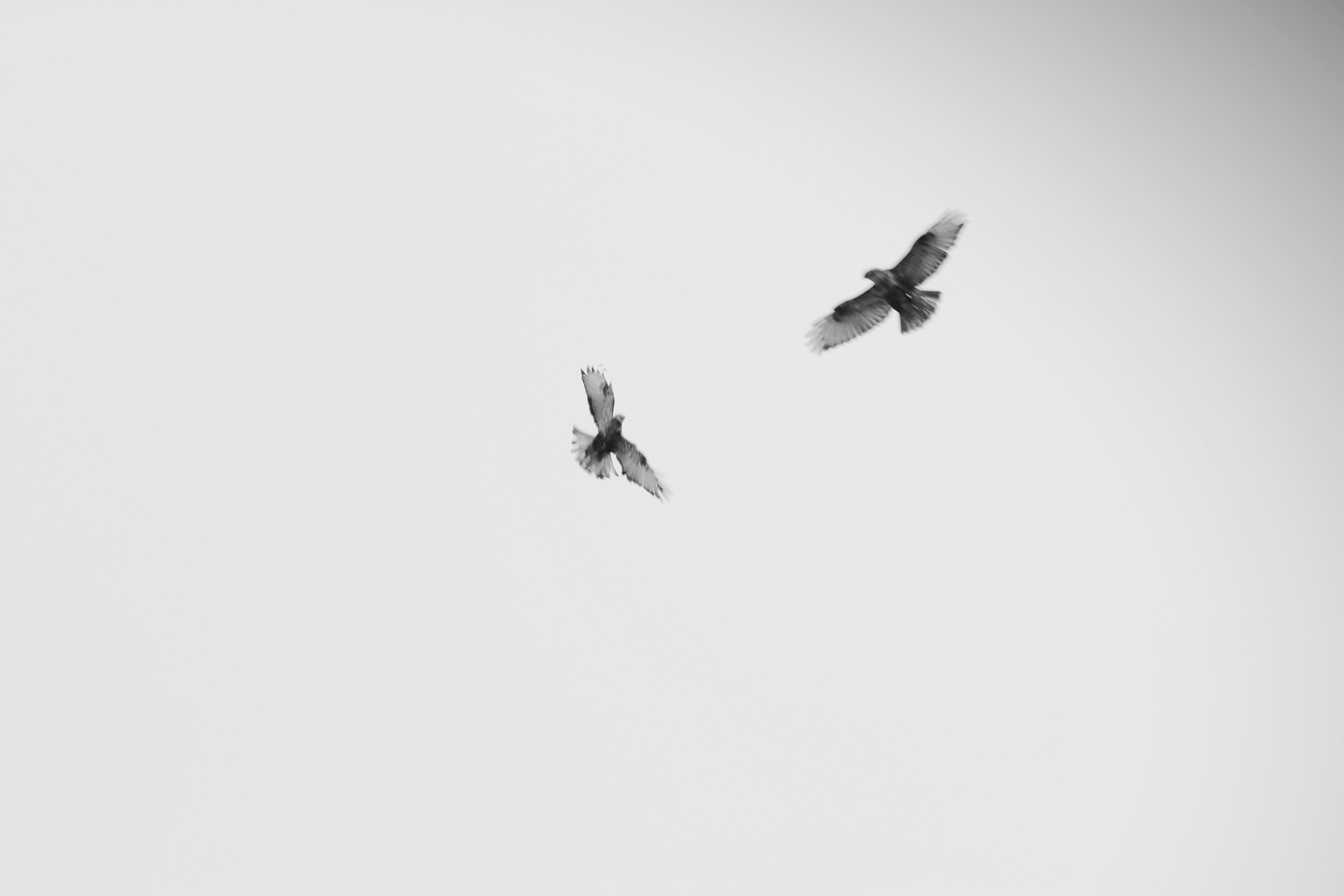 Fly me to the moon
