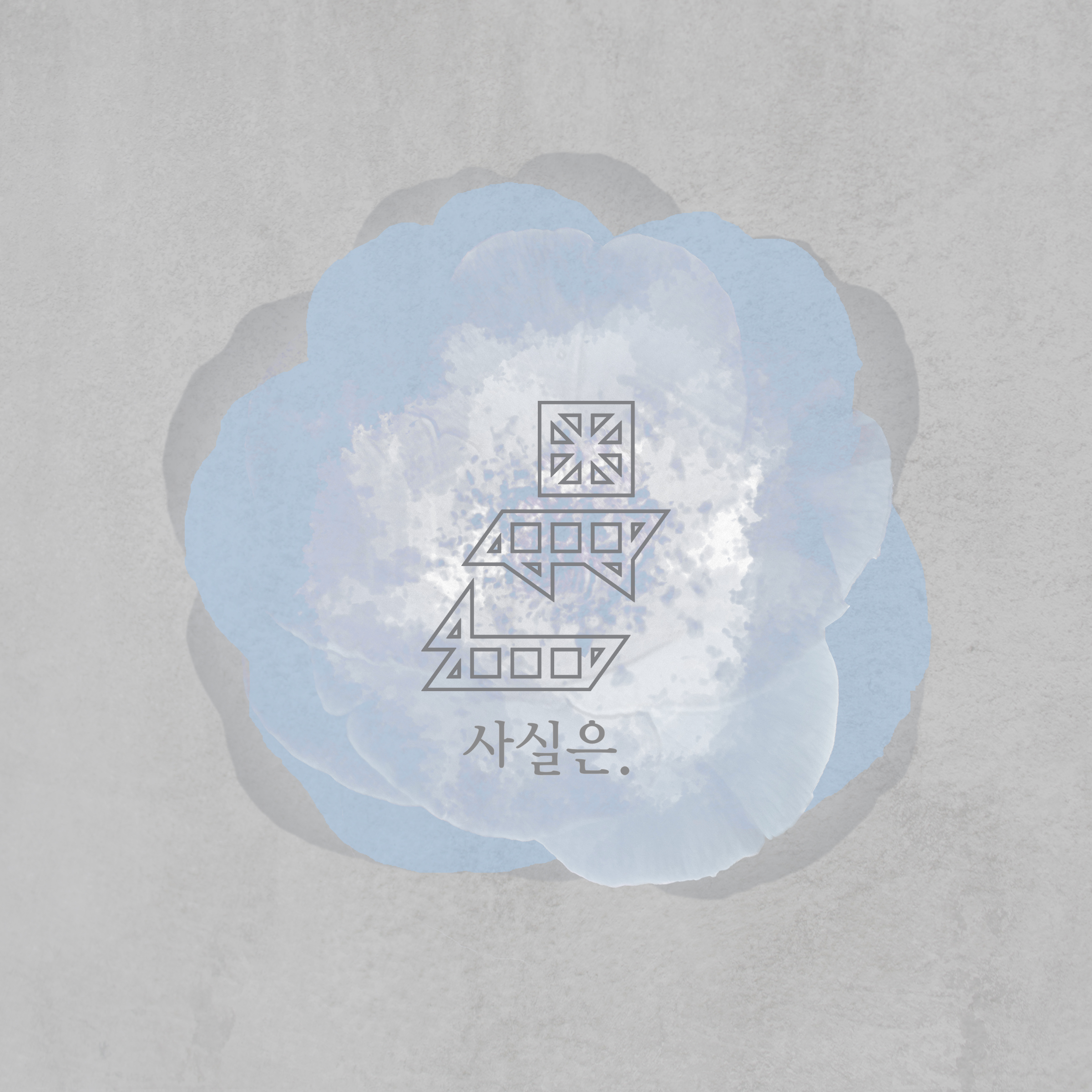 Vineyard (빈야드)