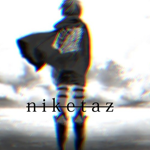 hachidori | ハチドリ