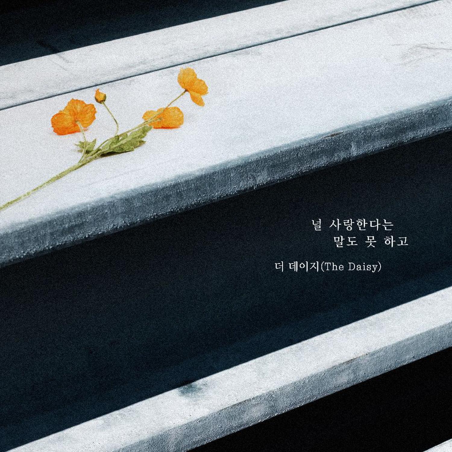 널 사랑한다는 말도 못하고
