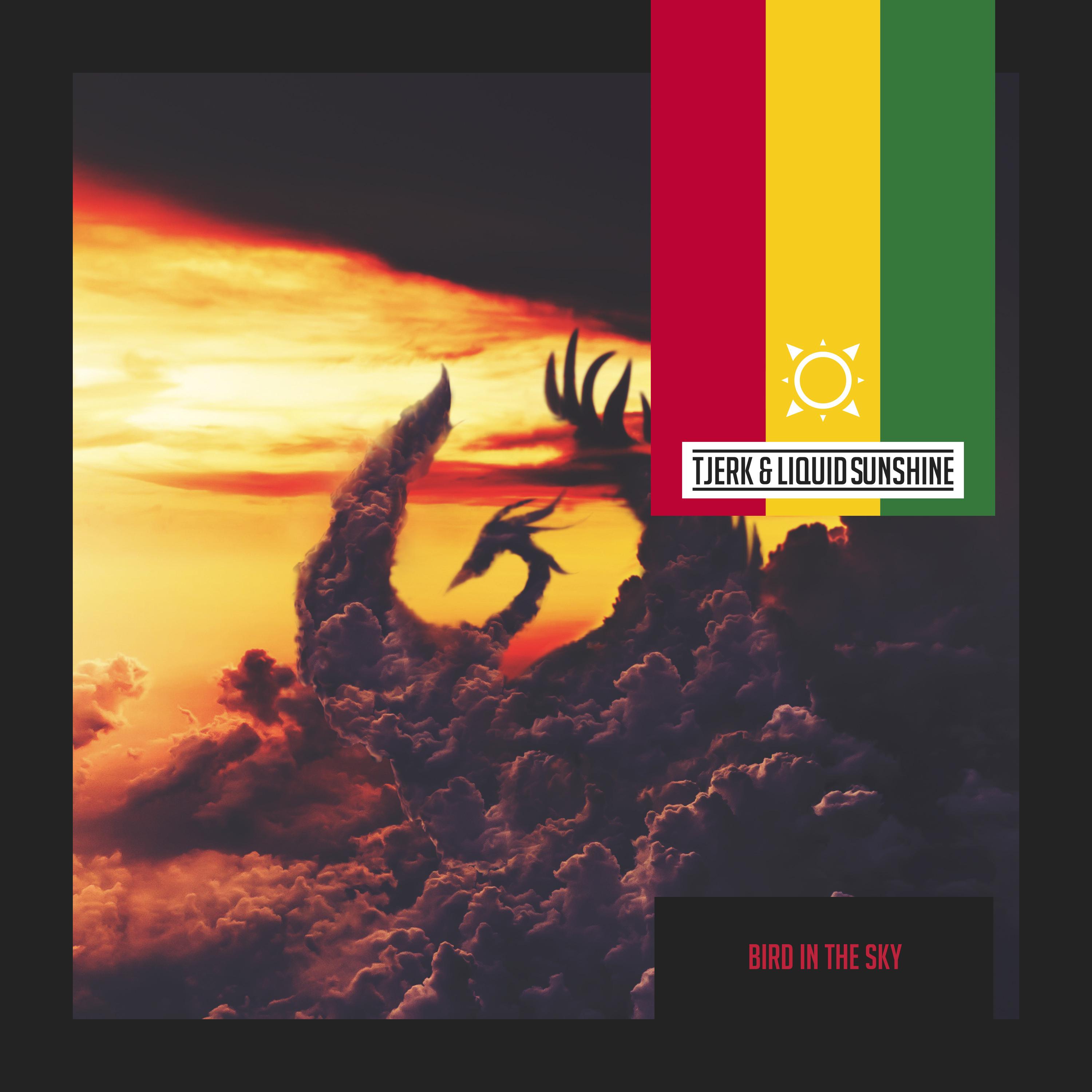 Dub in the Sky